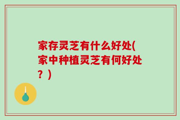 家存灵芝有什么好处(家中种植灵芝有何好处？)