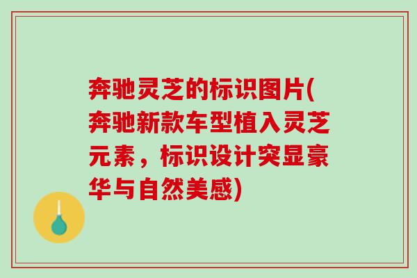 奔驰灵芝的标识图片(奔驰新款车型植入灵芝元素，标识设计突显豪华与自然美感)