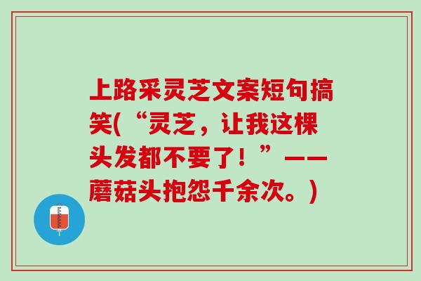 上路采灵芝文案短句搞笑(“灵芝，让我这棵头发都不要了！”——蘑菇头抱怨千余次。)
