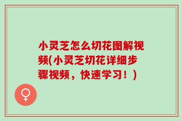 小灵芝怎么切花图解视频(小灵芝切花详细步骤视频，快速学习！)