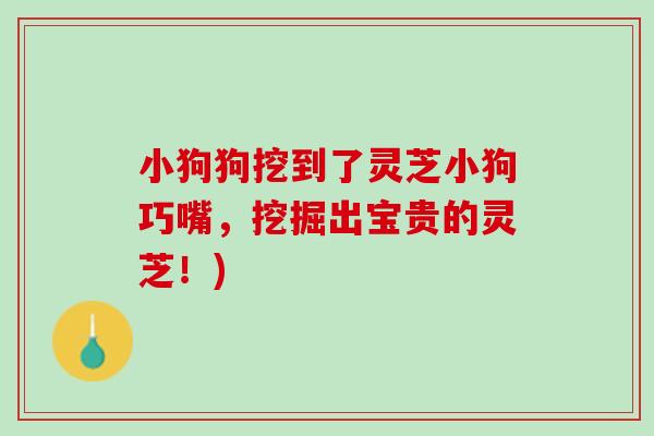 小狗狗挖到了灵芝小狗巧嘴，挖掘出宝贵的灵芝！)