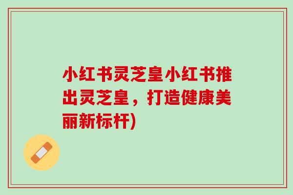 小红书灵芝皇小红书推出灵芝皇，打造健康美丽新标杆)