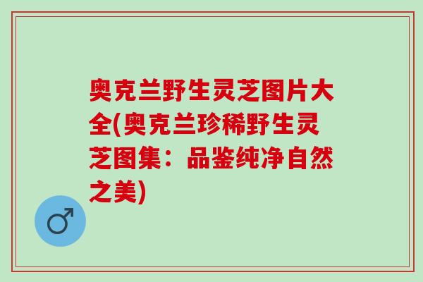 奥克兰野生灵芝图片大全(奥克兰珍稀野生灵芝图集：品鉴纯净自然之美)