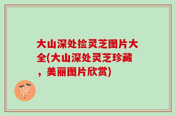大山深处捡灵芝图片大全(大山深处灵芝珍藏，美丽图片欣赏)