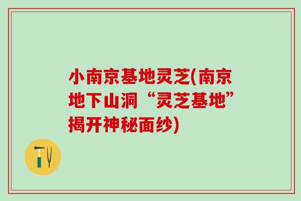 小南京基地灵芝(南京地下山洞“灵芝基地”揭开神秘面纱)