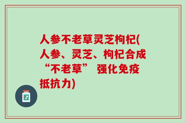 人参不老草灵芝枸杞(人参、灵芝、枸杞合成“不老草” 强化免疫抵抗力)