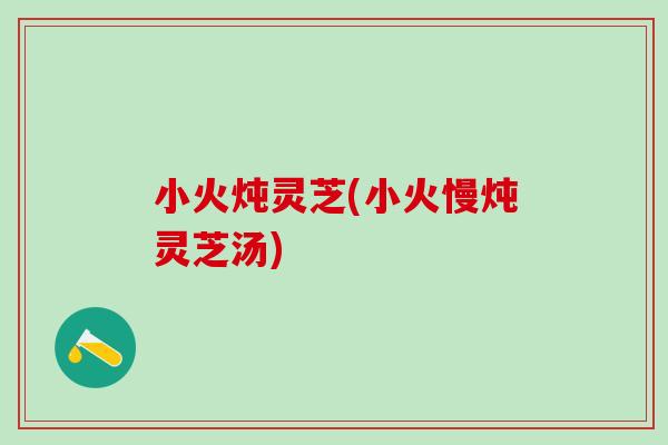 小火炖灵芝(小火慢炖灵芝汤)
