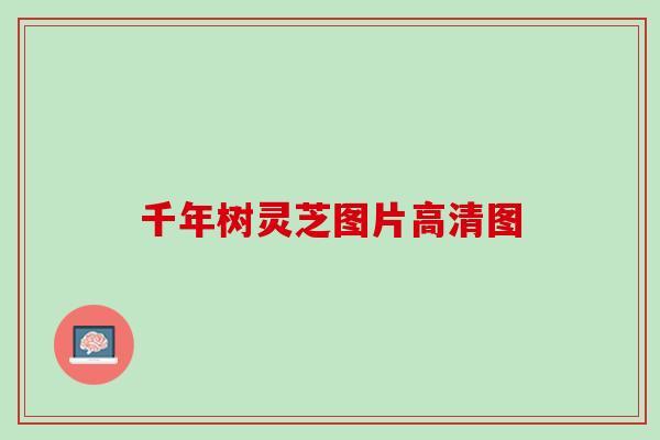 千年树灵芝图片高清图