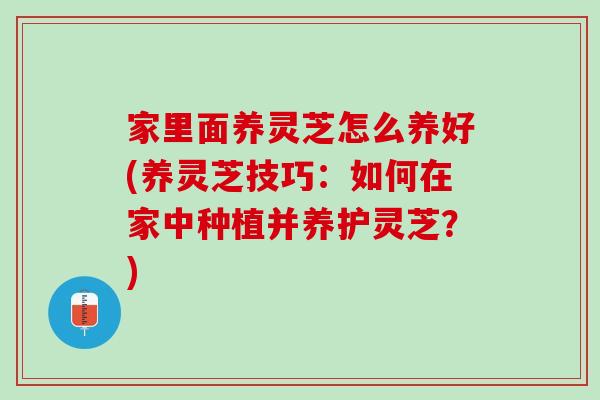 家里面养灵芝怎么养好(养灵芝技巧：如何在家中种植并养护灵芝？)