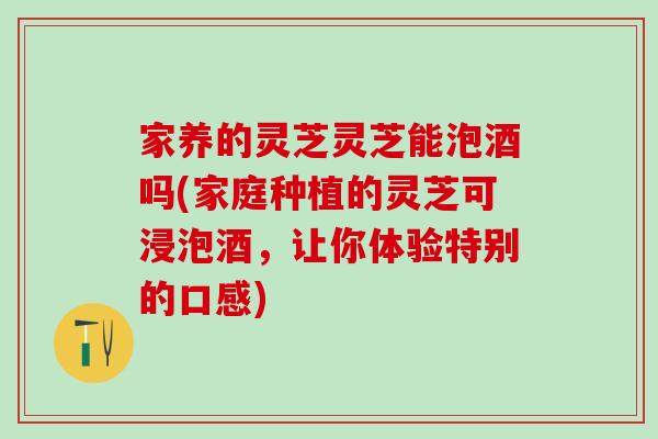 家养的灵芝灵芝能泡酒吗(家庭种植的灵芝可浸泡酒，让你体验特别的口感)