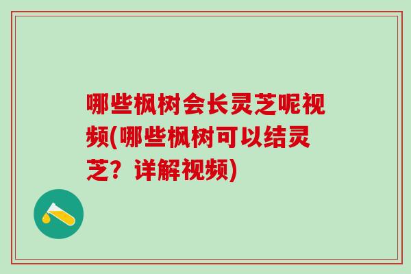哪些枫树会长灵芝呢视频(哪些枫树可以结灵芝？详解视频)