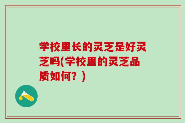 学校里长的灵芝是好灵芝吗(学校里的灵芝品质如何？)