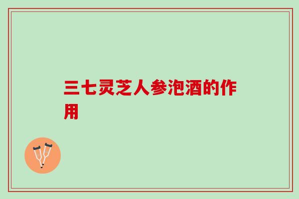 三七灵芝人参泡酒的作用