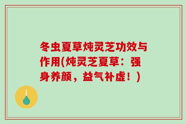 冬虫夏草炖灵芝功效与作用(炖灵芝夏草：强身养颜，益气补虚！)