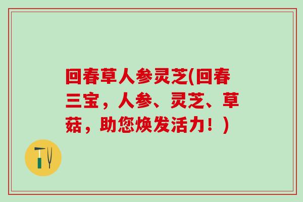 回春草人参灵芝(回春三宝，人参、灵芝、草菇，助您焕发活力！)