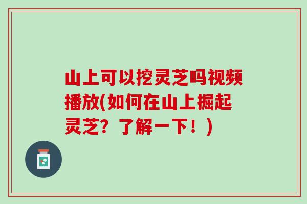 山上可以挖灵芝吗视频播放(如何在山上掘起灵芝？了解一下！)