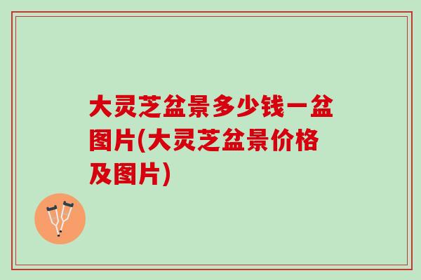 大灵芝盆景多少钱一盆图片(大灵芝盆景价格及图片)