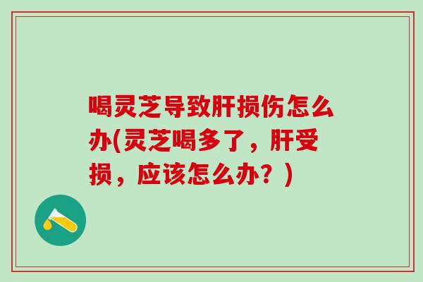 喝灵芝导致肝损伤怎么办(灵芝喝多了，肝受损，应该怎么办？)
