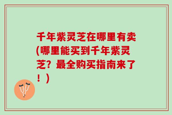 千年紫灵芝在哪里有卖(哪里能买到千年紫灵芝？最全购买指南来了！)
