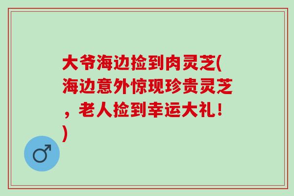 大爷海边捡到肉灵芝(海边意外惊现珍贵灵芝，老人捡到幸运大礼！)