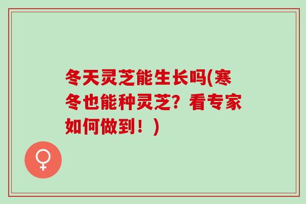 冬天灵芝能生长吗(寒冬也能种灵芝？看专家如何做到！)