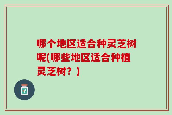哪个地区适合种灵芝树呢(哪些地区适合种植灵芝树？)