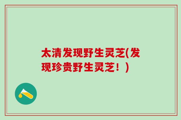 太清发现野生灵芝(发现珍贵野生灵芝！)