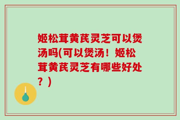 姬松茸黄芪灵芝可以煲汤吗(可以煲汤！姬松茸黄芪灵芝有哪些好处？)