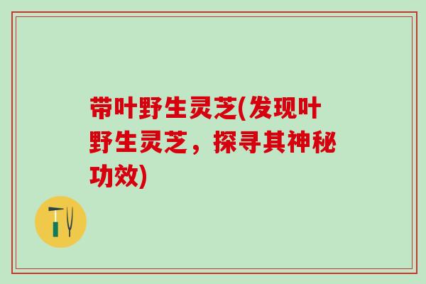 带叶野生灵芝(发现叶野生灵芝，探寻其神秘功效)
