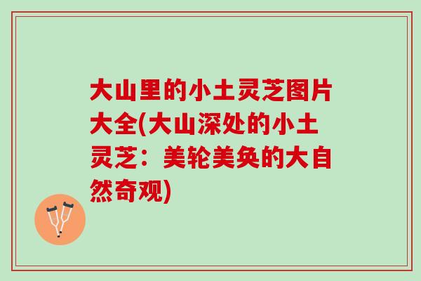 大山里的小土灵芝图片大全(大山深处的小土灵芝：美轮美奂的大自然奇观)