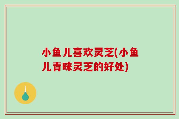 小鱼儿喜欢灵芝(小鱼儿青睐灵芝的好处)