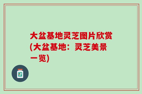 大盆基地灵芝图片欣赏(大盆基地：灵芝美景一览)