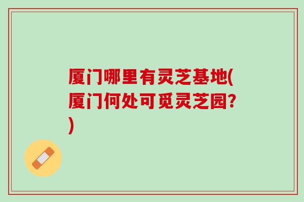 厦门哪里有灵芝基地(厦门何处可觅灵芝园？)