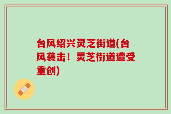 台风绍兴灵芝街道(台风袭击！灵芝街道遭受重创)
