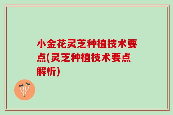小金花灵芝种植技术要点(灵芝种植技术要点解析)