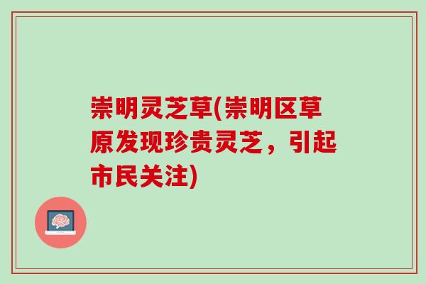 崇明灵芝草(崇明区草原发现珍贵灵芝，引起市民关注)