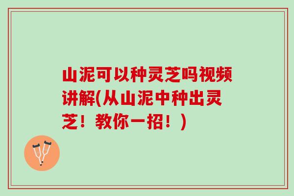 山泥可以种灵芝吗视频讲解(从山泥中种出灵芝！教你一招！)