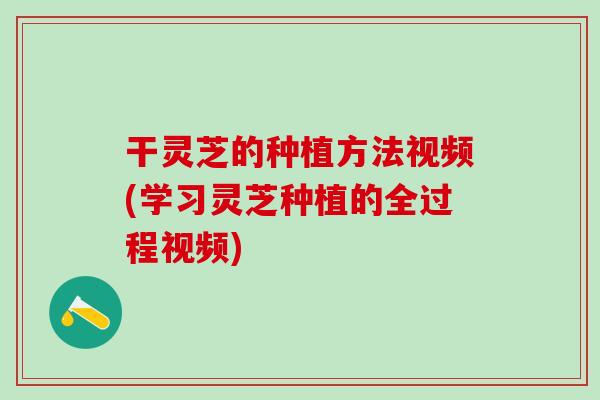 干灵芝的种植方法视频(学习灵芝种植的全过程视频)