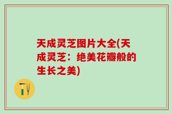 天成灵芝图片大全(天成灵芝：绝美花瓣般的生长之美)