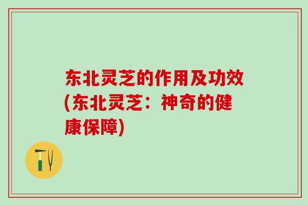 东北灵芝的作用及功效(东北灵芝：神奇的健康保障)