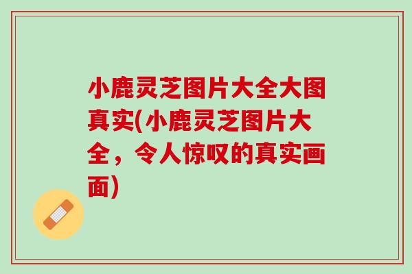 小鹿灵芝图片大全大图真实(小鹿灵芝图片大全，令人惊叹的真实画面)
