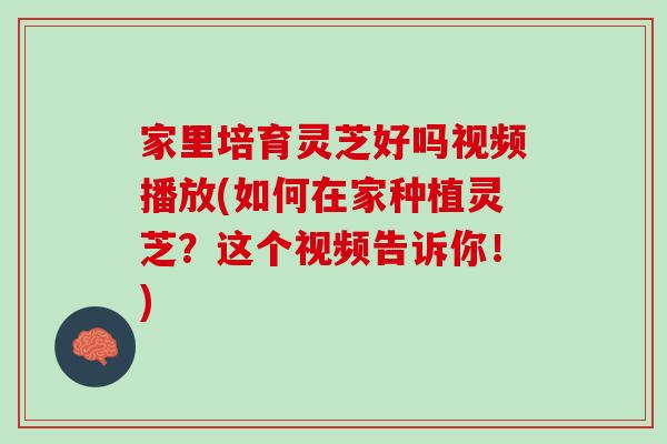 家里培育灵芝好吗视频播放(如何在家种植灵芝？这个视频告诉你！)