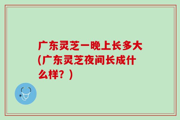 广东灵芝一晚上长多大(广东灵芝夜间长成什么样？)