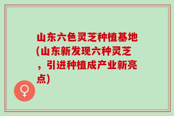 山东六色灵芝种植基地(山东新发现六种灵芝，引进种植成产业新亮点)