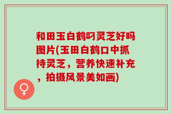 和田玉白鹤叼灵芝好吗图片(玉田白鹤口中抓持灵芝，营养快速补充，拍摄风景美如画)