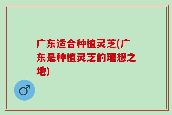 广东适合种植灵芝(广东是种植灵芝的理想之地)
