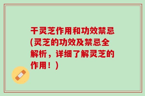 干灵芝作用和功效禁忌(灵芝的功效及禁忌全解析，详细了解灵芝的作用！)