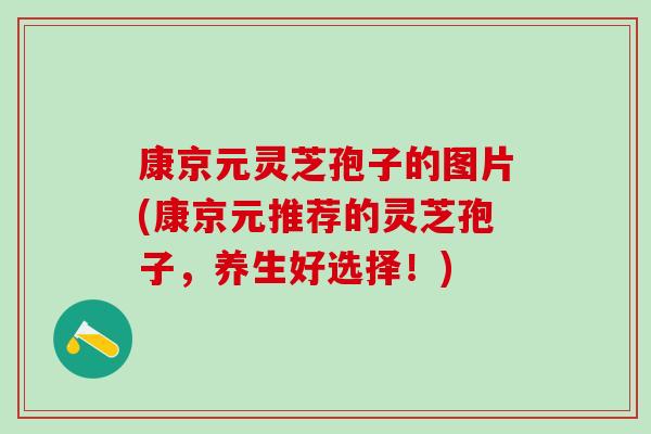 康京元灵芝孢子的图片(康京元推荐的灵芝孢子，养生好选择！)