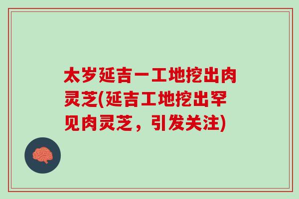 太岁延吉一工地挖出肉灵芝(延吉工地挖出罕见肉灵芝,引发关注) 太岁延吉一工地挖出肉灵芝(延吉工地挖出罕见肉灵芝,引发关注)