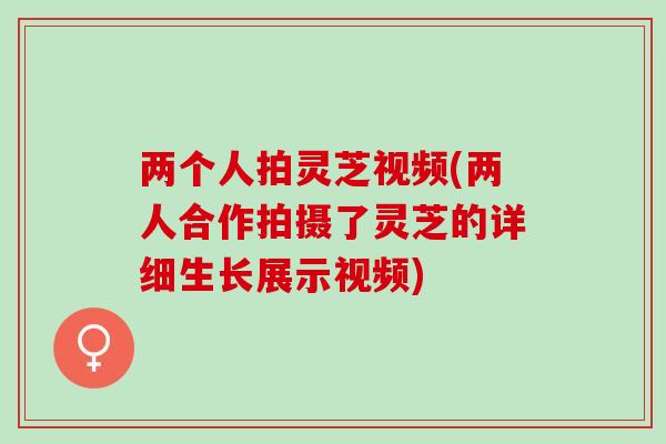 两个人拍灵芝视频(两人合作拍摄了灵芝的详细生长展示视频)